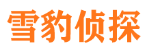 静宁市侦探公司